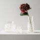 KOSTA BODA vaas MEADOW WINTER H 30cm