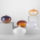 KOSTA BODA BEANS ORANGE