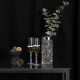 ORREFORS CRYSTAL Champagne flutes CARAT 2 stuks