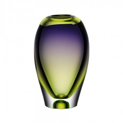 KOSTA BODA vaas VISION groen paars