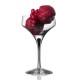 ORREFORS CRYSTAL Champagne coupe METROPOL 24 cl