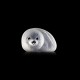 MALERAS sculptuur WILDLIFE ANIMALS baby zeehond H 7,5cm