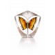MALERAS sculptuur WILDLIFE BUTTERFLY oranje H 16,5cm
