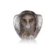 MALERAS sculptuur WILDLIFE BIRDS uil H 15cm