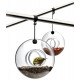 EVA SOLO Birdfeeder glas rond