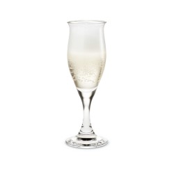 HOLMEGAARD Champagne flute IDEEELLE 23cl 2 stuks