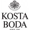 Kosta Boda glazen & karaffen